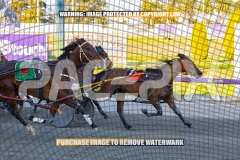 2026_PACEPIX_GP13102026_RACE2_CaraDiana_WIN_WEB-6
