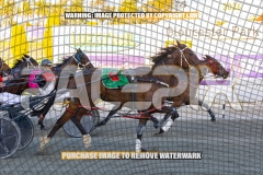 2026_PACEPIX_GP13102026_RACE2_CaraDiana_WIN_WEB-7