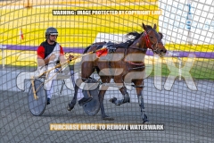 2026_PACEPIX_GP13102026_RACE2_CaraDiana_WIN_WEB-8