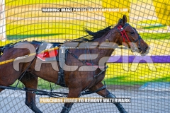 2026_PACEPIX_GP13102026_RACE2_CaraDiana_WIN_WEB-9