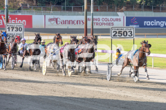 RACE 2 - Cee Dee Three