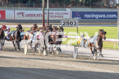 Cee-Dee-Three_03-04-2026_WIN_Gloucester-Park_2__02