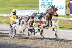 Cee-Dee-Three_03-04-2026_WIN_Gloucester-Park_2__03