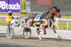 Cee-Dee-Three_03-04-2026_WIN_Gloucester-Park_2__04
