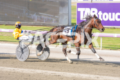 Cee-Dee-Three_03-04-2026_WIN_Gloucester-Park_2__05