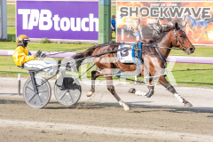 Cee-Dee-Three_03-04-2026_WIN_Gloucester-Park_2__06