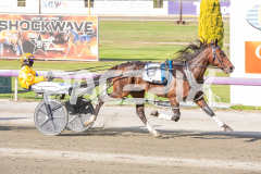 Cee-Dee-Three_03-04-2026_WIN_Gloucester-Park_2__07