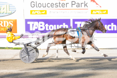 Cee-Dee-Three_03-04-2026_WIN_Gloucester-Park_2__08