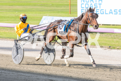 Cee-Dee-Three_03-04-2026_WIN_Gloucester-Park_2__09