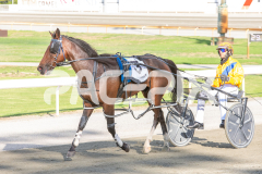 Cee-Dee-Three_03-04-2026_WIN_Gloucester-Park_2__10