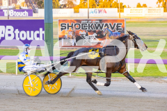 2025_PACEPIX_GP14112025_RACE2_ChasingRex_WIN_WEB-10
