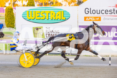 2025_PACEPIX_GP14112025_RACE2_ChasingRex_WIN_WEB-11