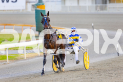 2025_PACEPIX_GP14112025_RACE2_ChasingRex_WIN_WEB-12
