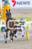 2025_PACEPIX_GP14112025_RACE2_ChasingRex_WIN_WEB-13