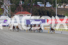 2025_PACEPIX_GP14112025_RACE2_ChasingRex_WIN_WEB-5