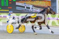 2025_PACEPIX_GP14112025_RACE2_ChasingRex_WIN_WEB-9