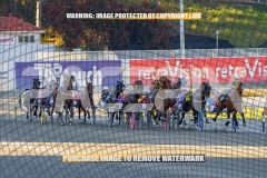 2026_PACEPIX_GP06102026_Race2_CherryOnTheCake_WIN_WEB-2