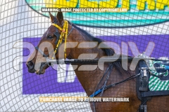 2026_PACEPIX_GP06102026_Race2_CherryOnTheCake_WIN_WEB-21