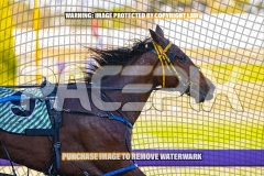 2026_PACEPIX_GP06102026_Race2_CherryOnTheCake_WIN_WEB-5