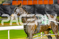 2025_PACEPIX_GP23052025_Race2_ChilliPunter_WIN_WEB-12