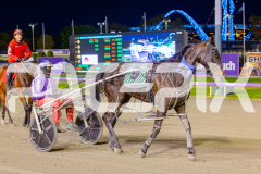 2025_PACEPIX_GP23052025_Race2_ChilliPunter_WIN_WEB-23