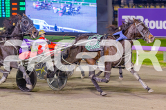 2025_PACEPIX_GP23052025_Race2_ChilliPunter_WIN_WEB-6