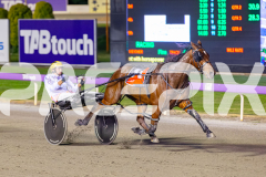 RACE 2 - Chivalry