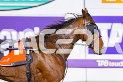2026_PACEPIX_GP08052026_Race2_Chivalry_WIN_WEB-8