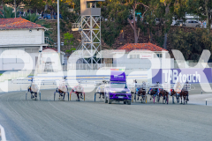 2025_PACEPIX_GP21112025_RACE2_Chivalry_WIN_WEB-1