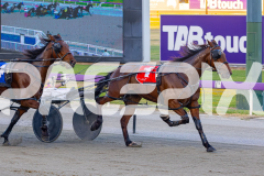 2025_PACEPIX_GP21112025_RACE2_Chivalry_WIN_WEB-11