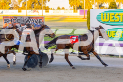 2025_PACEPIX_GP21112025_RACE2_Chivalry_WIN_WEB-12