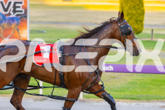 2025_PACEPIX_GP21112025_RACE2_Chivalry_WIN_WEB-16