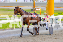 2025_PACEPIX_GP21112025_RACE2_Chivalry_WIN_WEB-17