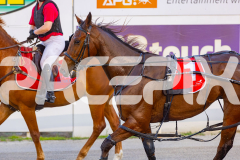 2025_PACEPIX_GP21112025_RACE2_Chivalry_WIN_WEB-18