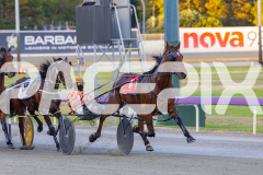 2025_PACEPIX_GP21112025_RACE2_Chivalry_WIN_WEB-3