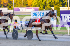 2025_PACEPIX_GP21112025_RACE2_Chivalry_WIN_WEB-5