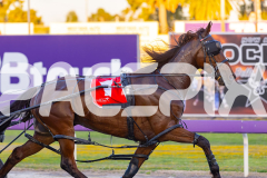 2025_PACEPIX_GP21112025_RACE2_Chivalry_WIN_WEB-6