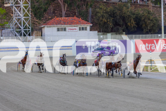 2025_PACEPIX_GP21112025_RACE2_Chivalry_WIN_WEB-7
