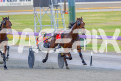 2025_PACEPIX_GP21112025_RACE2_Chivalry_WIN_WEB-9