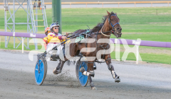 Como-El-Viento_06-03-2026_WIN_Gloucester-Park_2__02