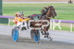 Como-El-Viento_06-03-2026_WIN_Gloucester-Park_2__03
