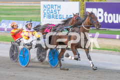 Como-El-Viento_06-03-2026_WIN_Gloucester-Park_2__04
