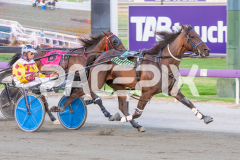 Como-El-Viento_06-03-2026_WIN_Gloucester-Park_2__05