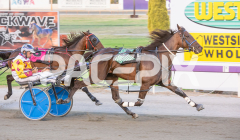 Como-El-Viento_06-03-2026_WIN_Gloucester-Park_2__06