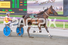 Como-El-Viento_06-03-2026_WIN_Gloucester-Park_2__08