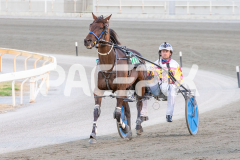Como-El-Viento_06-03-2026_WIN_Gloucester-Park_2__09