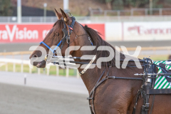 Como-El-Viento_06-03-2026_WIN_Gloucester-Park_2__10