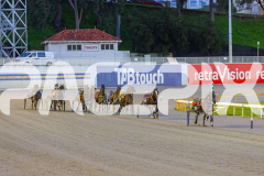 2025_PACEPIX_GP05092025_RACE2_CopyCatQueen_WIN_WEB-1