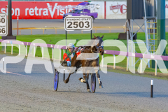 2025_PACEPIX_GP05092025_RACE2_CopyCatQueen_WIN_WEB-14