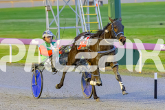 2025_PACEPIX_GP05092025_RACE2_CopyCatQueen_WIN_WEB-2